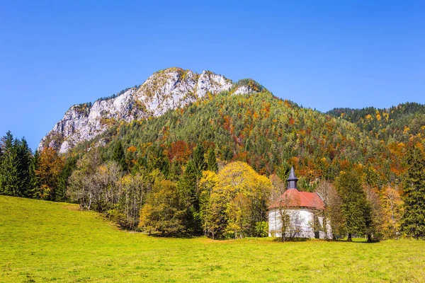 伟大的金秋在斯洛文尼亚山区 洛加尔斯卡山谷 卡门斯科 萨文斯基阿尔卑斯山 桔树和红树 — 图库照片