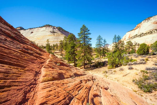 Prachtige Enorme Canyon Zion Rode Zandsteen Van Navajo Smalle Voetpad — Stockfoto