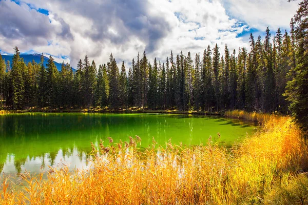 Pequeno Lago Redondo Com Água Verde Fria Jasper Park Floresta — Fotografia de Stock