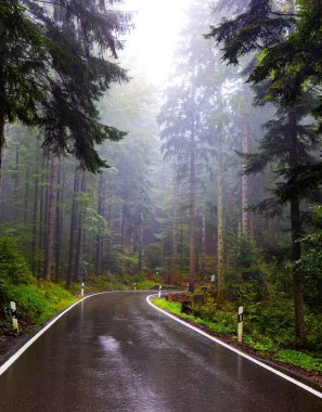 Schwarzwald 'da. Ekim ayında Almanya 'da. Pürüzsüz otoyol yağmurla parıldıyor. İlk sonbahar yağmuru. Avrupa 'nın merkezindeki ünlü ormanda sabah sisi. 
