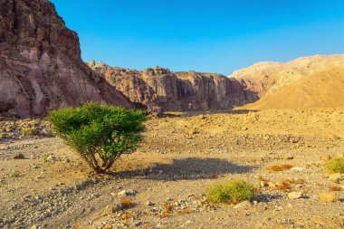  Eilat Dağları. Kayalar kumtaşlarından, volkanik kayalardan ve volkanik kayalardan oluşur. Renkli peyzaj oluşumları. Eilat dağlarında yıpranmış kumtaşının tuhaf şekilleri.