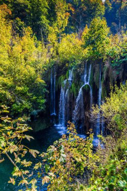 Birçok resmedilmiş şelale kil kayalıklar boyunca akar. Hırvatistan 'daki Plitvice Lakes Parkı. Şeffaf sığ göl ormanı yansıtır. Orta Avrupa 'ya seyahat