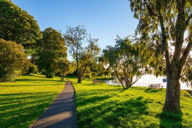 Göl kıyısındaki patika. Gölde sıcak bir akşam. Muhteşem gün batımı. Rahat ahşap bir bank. Yeni Zelanda 'daki en büyük Taupo Gölü..