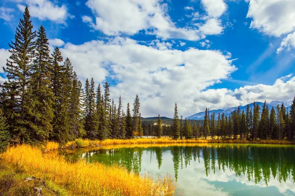 インドの夏にジャスパーパーク カナダのロッキー山脈 冷たい緑色の水で小さな丸い湖 針葉樹林は水に反映されます 旅行と写真観光のコンセプト — ストック写真