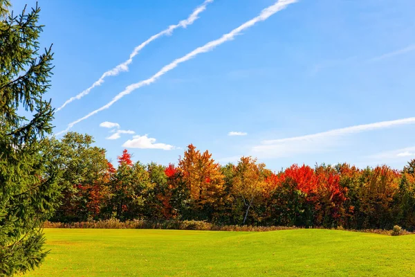 カナダのケベック州 晴れた日 モントリオールからブロモントへの道 多色の秋の魔法 緑の芝生 オレンジ 赤の葉を持つ木 — ストック写真