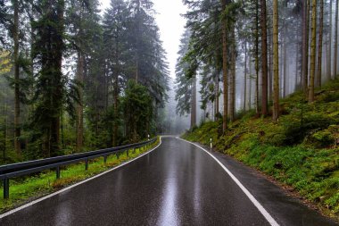Pürüzsüz otoyol yağmurla parıldıyor. Avrupa 'nın merkezindeki ünlü orman, Schwarzwald. İlk sonbahar yağmuru. Sabah sisi. Almanya 'da Ekim