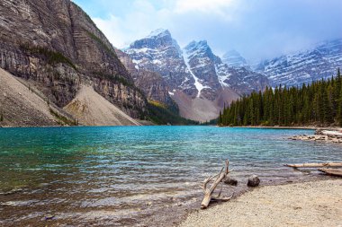 Resim gibi ve muhteşem dağ gölü Moraine. Kanada Kayalıkları. Banff Parkı. Buzul gölü erimiş suyla beslenir ve On Tepe Vadisi 'nde yer alır.