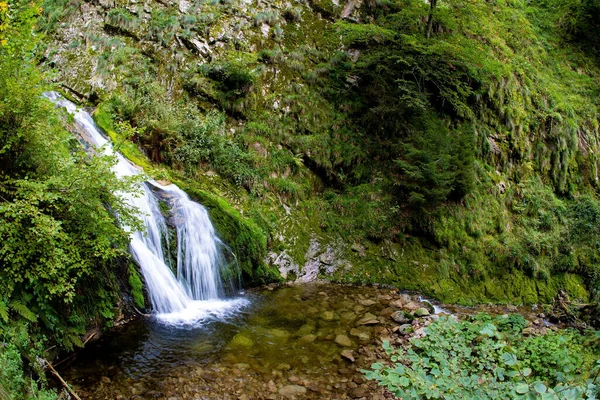 Res Till Det Fantastiska Landet Schwarzwald Vattenfallets Klippiga Bädd Allerheiligen — Stockfoto