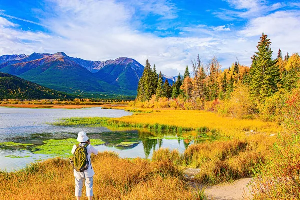 緑のバックパックの写真を持つ女性は 湖Vermillonの海岸から湿地帯 水は緑の泥で覆われている カナダだ ロッキー山脈のインドの夏 — ストック写真