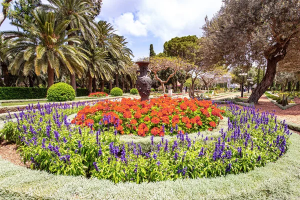 Luxurious Flower Bed Bright Red Flowers Picturesque Small Square Bahai — Stock Photo, Image