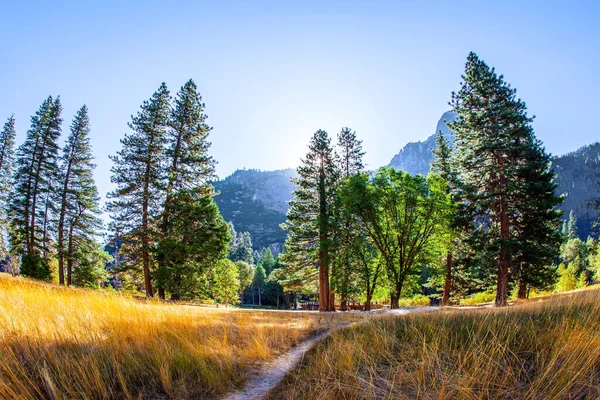 Sierra Nevada Majestic Mountains Surround Yosemite Valley Great Trip Wild — Stock Photo, Image