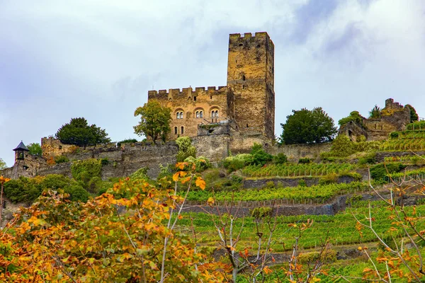 Castillos Románticos Orillas Del Rin Las Colinas Son Hogar Los —  Fotos de Stock