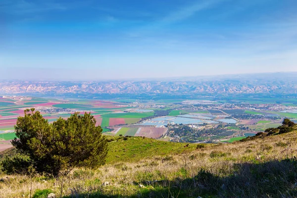 Jisreel Valley Nedre Galiléen Varm Vinter Israel Pittoreska Jordbruksfält Täcker — Stockfoto