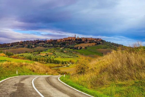 Rural tourism in the legendary Tuscany. Dirt road runs through the hills. Olive trees on green grassy meadows. The concept of active, rural and photo tourism