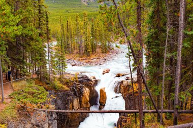 Sunwapta Nehri. Fırtınalı bir nehrin ortasında küçük bir ada. Serin bir sonbahar günü. Kanada 'nın muhteşem şelaleleri. Buzul kaynaklı soğuk masmavi bir su.. 