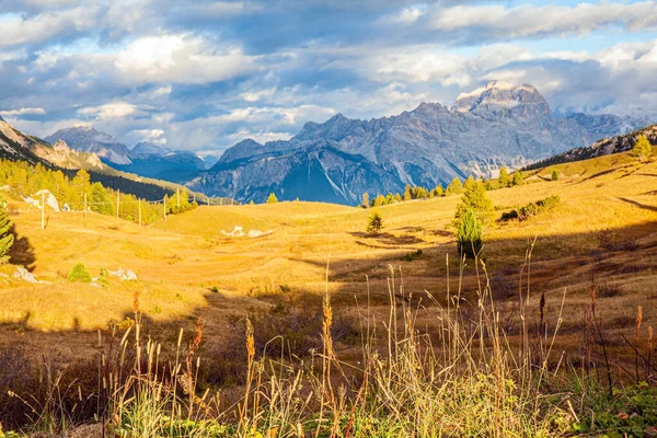 Pradera Amarillenta Otoño Rocas Dolomita Gris Blanca Las Nubes Vuelan — Foto de Stock