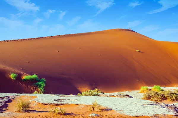 前往纳米布 瑙克洛夫特沙漠的伟大旅程 苏苏斯费雷干涸湖底黄红的沙丘和铃声般的寂静 阳光灿烂的早晨积极 异国情调 极端和摄影旅游的概念 — 图库照片