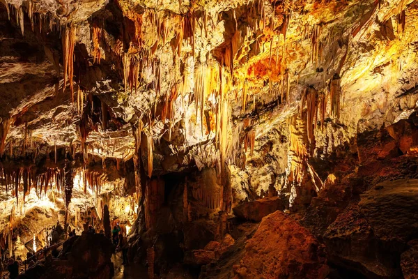 斯洛文尼亚的神奇地方 Postojna洞穴 用钟乳石和石笋点亮的地下宫殿 斯洛文尼亚的地下洞穴庞大系统 — 图库照片