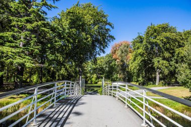 Sakin bir nehrin üzerinde resim gibi bir köprü. Nehir parkın içinden akar. Christchurch Sahnesi Botanik Bahçesi. Hint yazı. Yeni Zelanda 'ya git. Ekolojik ve fotoğraf turizmi kavramı