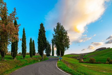 Çiftliğe giden dolambaçlı yol. Gün batımı. Muhteşem İtalyan vilayeti Toskana. Tarlalar ve tepeler hafif sisle kaplıdır. Akşam alacakaranlığı. 