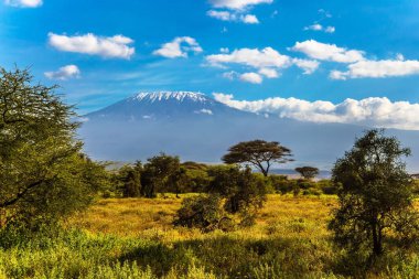 Amboseli Parkı Kenya 'da en çok ziyaret edilen parktır. Kilimanjaro 'nun ünlü kar zirvesi. Nadir çalılar ve çöl stokları olan Savanna. Aktif, egzotik, ekolojik ve fotoğraf turizmi kavramı