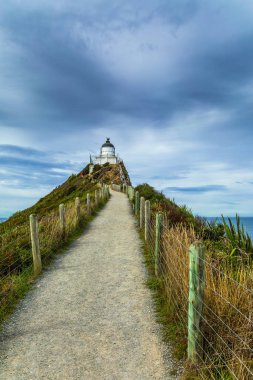 Nugget Burnu 'ndaki Nugget Point Deniz Feneri. Bir çitle korunan direkt yol deniz fenerine çıkıyor. Güney Adası, Yeni Zelanda. Aktif, çevresel ve fotoğraf turizmi kavramı