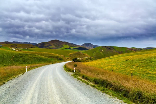 언덕들은 누르스름 뒤덮여 있었다 남섬의 구릉지를 지나는 길이다 뉴질랜드의 풍경이었습니다 — 스톡 사진