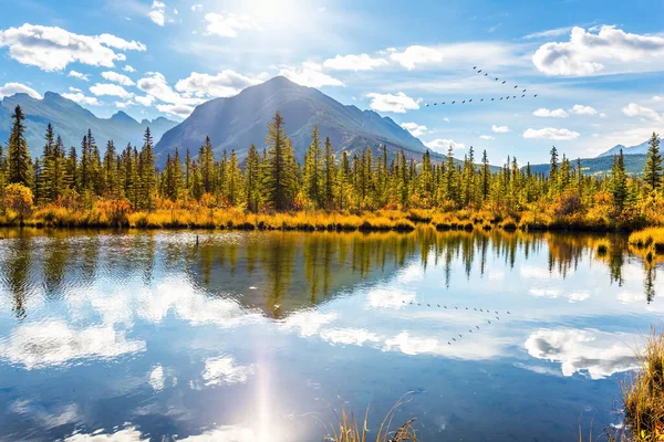 在黄色的秋天的草地 桦树和白杨树之间的弗米隆湖 落基山脉的印度夏天 加拿大美丽的风景 摄影旅游的概念 — 图库照片