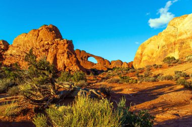 Resimli kırmızı-kahverengi kumtaşı kayalıkları eşsiz bir manzara oluşturur. Skyline Kemeri. ABD 'deki Arches Park' ın eşsiz güzelliği. Görkemli kaya bileşenleri doğal kaynaklıdır.