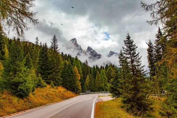 Słynny Malowniczy Przełęcz Dolomitach Passo Rolle Droga Wiecznie Zielonych Lasach — Zdjęcie stockowe