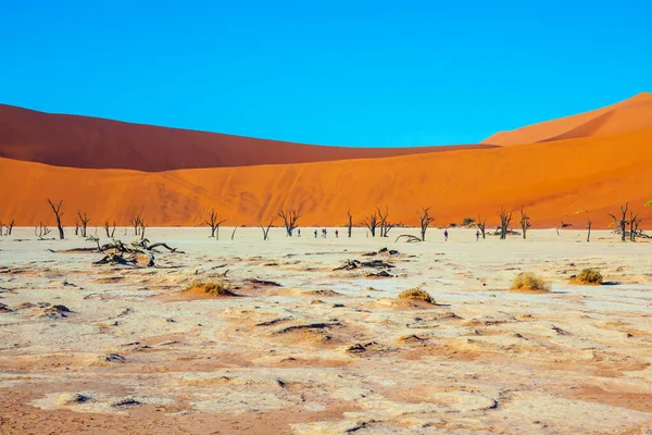 黄红的沙丘和铃声般的寂静 阳光灿烂的早晨苏苏斯费雷干涸湖底前往纳米布 瑙克洛夫特沙漠的伟大旅程 异国情调 极端和摄影旅游的概念 — 图库照片