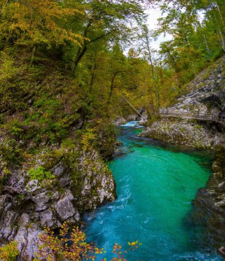 Güneş, dağ nehrinin sakin sularını aydınlatır. Vadinin yamaçlarında korkuluklu ahşap geçitler vardı. Vintgar geçidi. Slovenya. Aktif ve fotoğraf turizmi kavramı