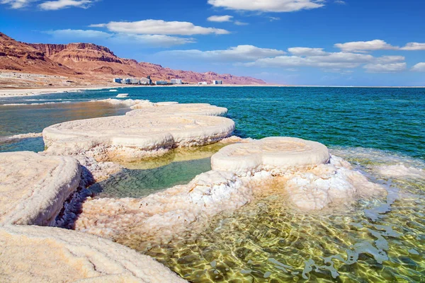 Saltiest Lake World Evaporated Salt Forms Bizarre Crystal Shapes Water — Stock Photo, Image