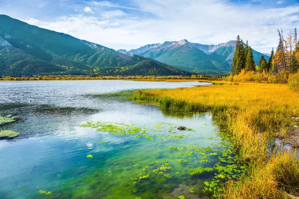 北インドの夏の魔法 カナダのロッキー山脈の壮大な風景 鳥やアスペンの黄色の紅葉の間で朱色の湖 — ストック写真