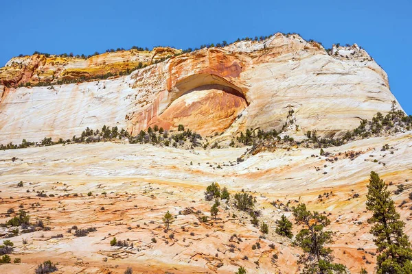 Estados Unidos Utah Magnífico Cañón Sión Excavado Junto Río Virginia — Foto de Stock