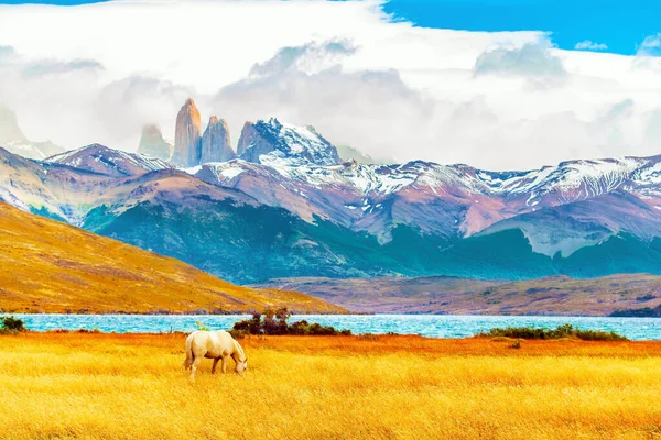 Den Berömda Parken Torres Del Paine Södra Chile Lagunen Azul — Stockfoto