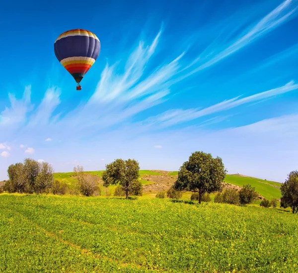 Velden Met Lentebloemen Felle Zuidelijke Zon Heldere Veelkleurige Heteluchtballon Vliegt — Stockfoto