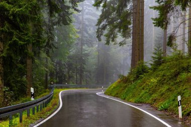 Avrupa 'nın merkezindeki ünlü orman, Schwarzwald. Kara Orman. İlk sonbahar yağmuru. Sabah sisi. Pürüzsüz otoyol yağmurla parıldıyor. Almanya 'da Ekim