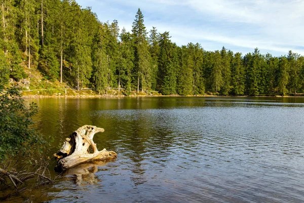 Mummelsee Gölü Nün Çevresi Sık Yeşil Ormanlarla Çevrilidir Gün Batımı — Stok fotoğraf