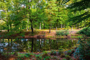  Sıcak Sonny günü. Almanya 'daki Idyllic Kromlau Parkı. 