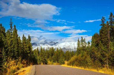 Mavi gökyüzünde yemyeşil kümülüs bulutları. Kanada 'nın Rocky Dağları. Jasper Park 'ta Kızılderili yazı. Kozalaklı ormanların arasında muhteşem bir otoyol. Seyahat ve fotoğraf turizmi