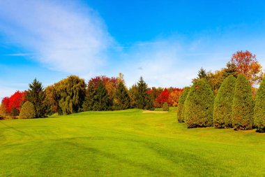 Kanada, Quebec vilayeti. Montreal 'den Bromont' a giden yol. Yeşil çimenler, yeşil, sarı, turuncu ve kırmızı yapraklı ağaçlar. Çok renkli sonbaharın büyüsü.