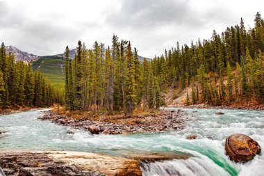 Kanada 'nın muhteşem şelaleleri. Alberta Eyaleti, Rough Water Sunwapta Nehri. Buzul kaynaklı soğuk, masmavi bir su. Fırtınalı bir nehrin ortasında küçük bir ada. Serin bir sonbahar günü. 