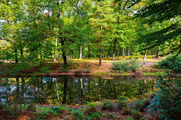  Sıcak Sonny günü. Almanya 'daki Idyllic Kromlau Parkı. 