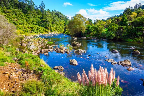 Φαράγγι Του Καραγκιόζη Νέα Ζηλανδία Βόρειο Νησί Ένα Ρηχό Ποτάμι — Φωτογραφία Αρχείου