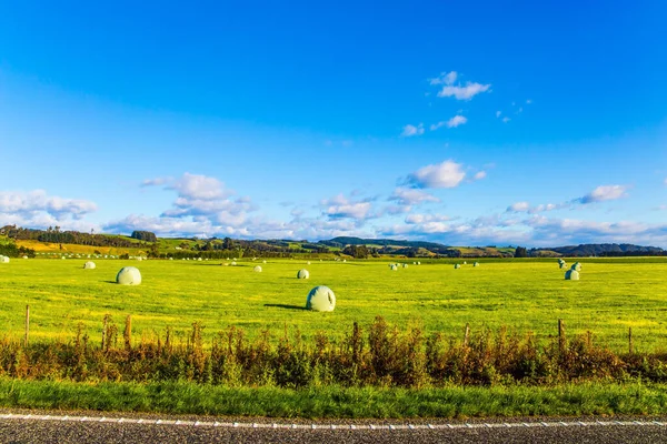 Champ Agricole Après Récolte Île Sud Nouvelle Zélande Coucher Soleil — Photo