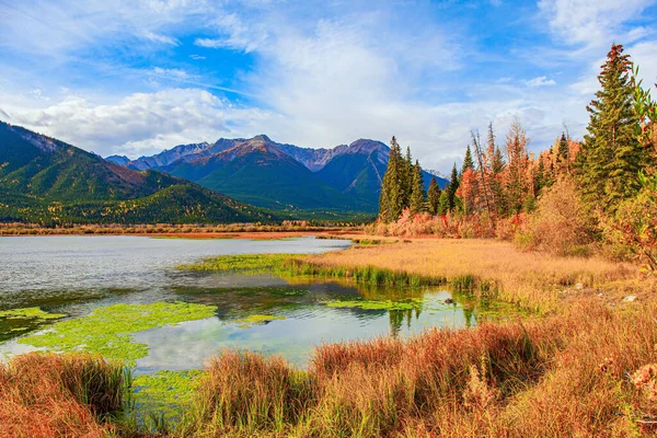 Canadá Verano Indio Las Montañas Rocosas Pequeño Pantano Orillas Del —  Fotos de Stock