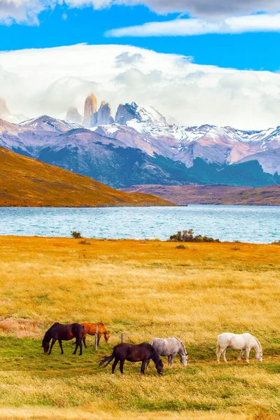 Parken Torres Del Paine Chile Lagoon Azul Fjällsjö Nära Tre — Stockfoto