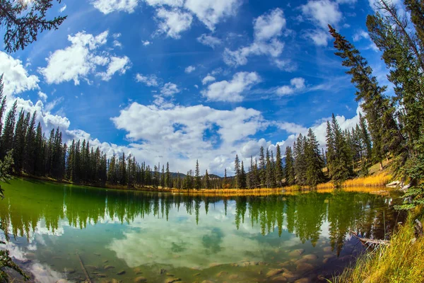 Małe Okrągłe Jezioro Zimną Zieloną Wodą Wspaniały Krajobraz Jasper Park — Zdjęcie stockowe