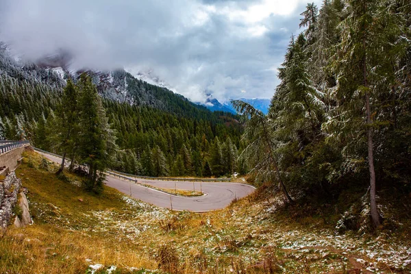 Evergreen Dağ Ormanlarında Yol Passo Rolle Dolomitlerdeki Ünlü Pitoresk Geçit — Stok fotoğraf